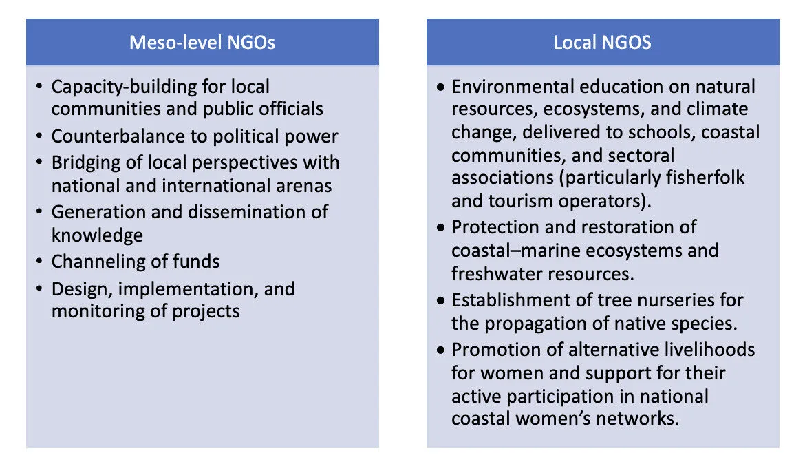 Roles of Meso-level and Local NGOs listed